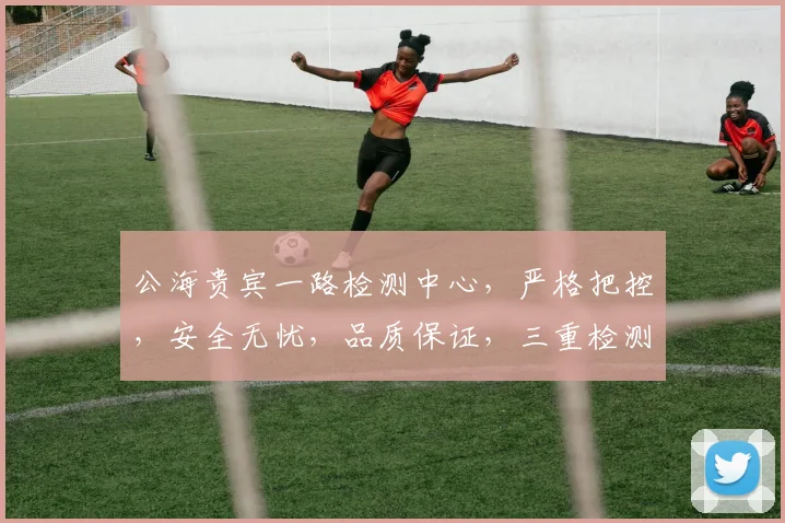 公海贵宾一路检测中心，严格把控，安全无忧，品质保证，三重检测，服务卓越，值得信赖