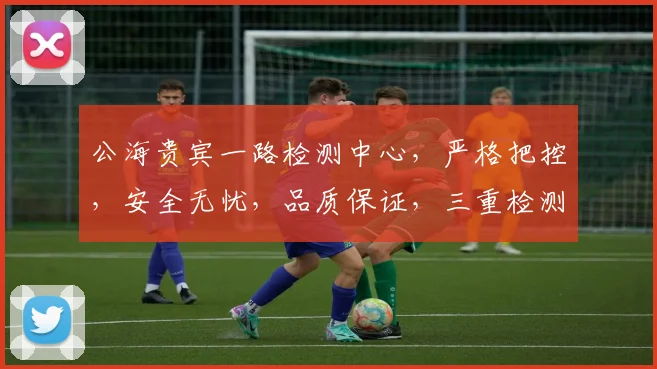 公海贵宾一路检测中心，严格把控，安全无忧，品质保证，三重检测，服务卓越，值得信赖